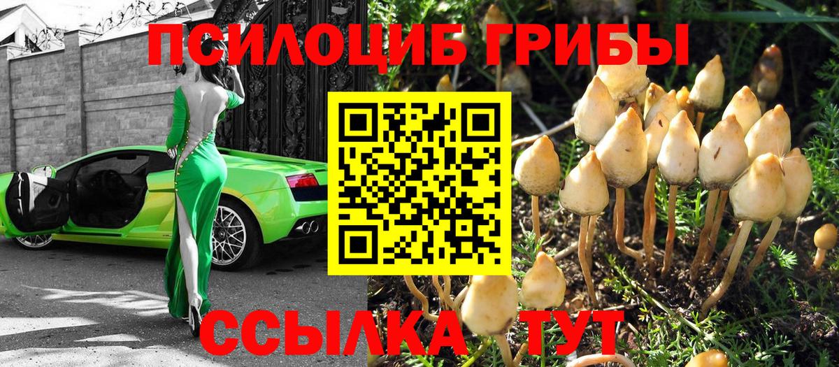 Галлюциногенные грибы мухоморы  Вход с VPN  Ефремов 