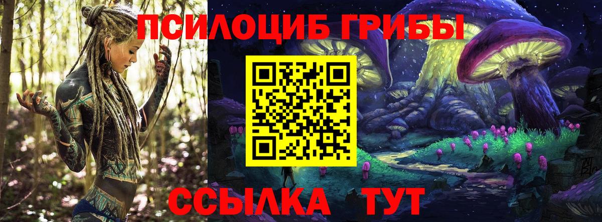 Галлюциногенные грибы ЛСД Ефремов