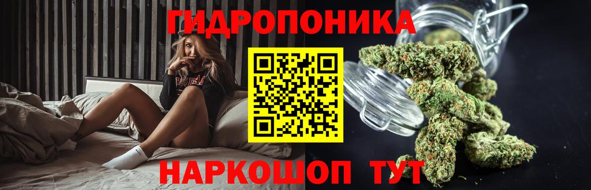 Конопля MAZAR  Вход с VPN  Ефремов  МАРИХУАНА план 